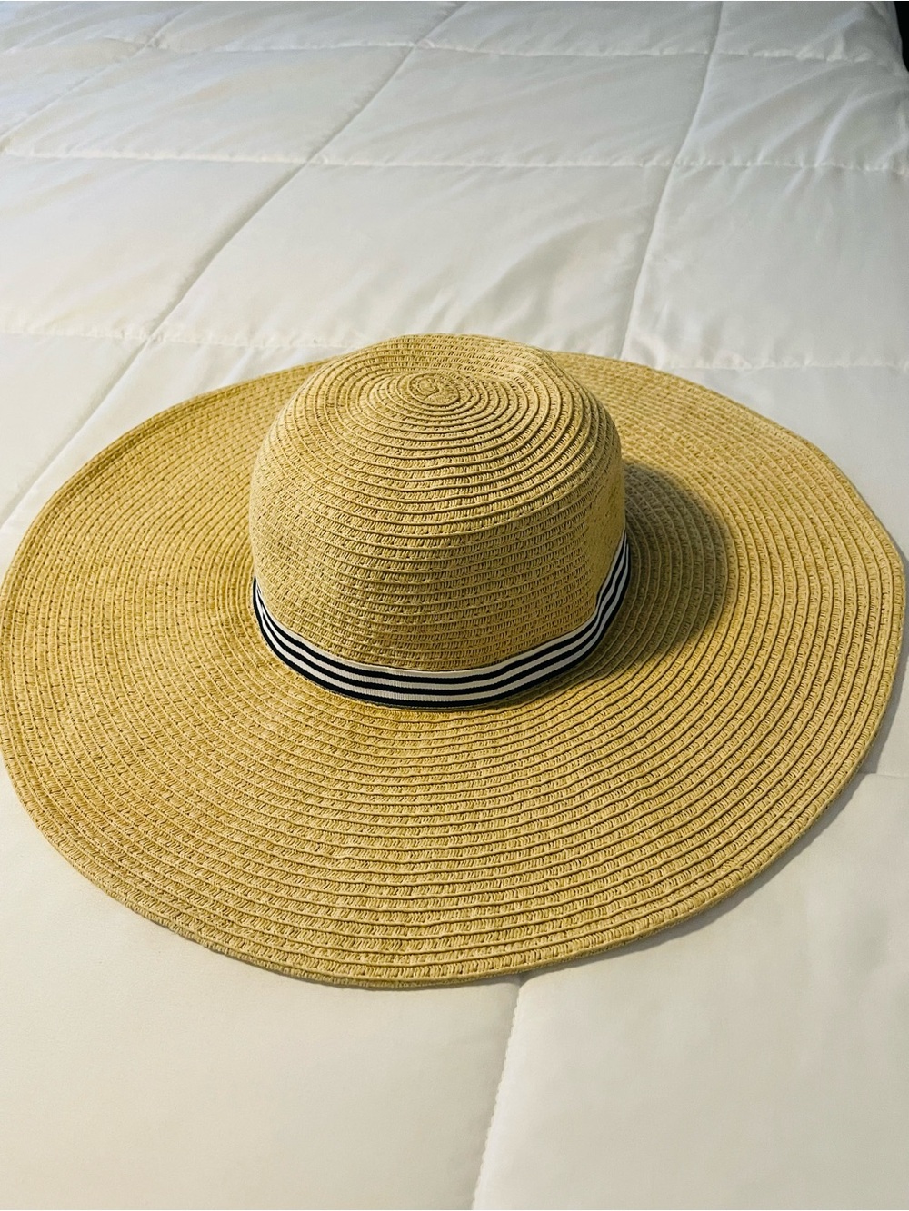 J Crew Wide Brimmed Sun Hat
